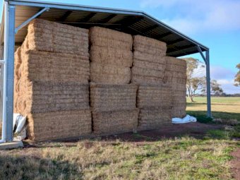 15MT Vetch Hay 8X4X3 Large Square Bales