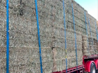 160mt Vetch Hay 620kg 8x4x3 Bales