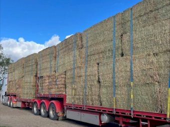 160mt Vetch Hay 620kg 8x4x3 Bales