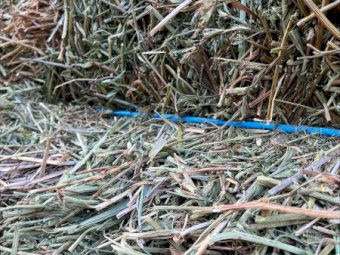 160mt Vetch Hay 620kg 8x4x3 Bales