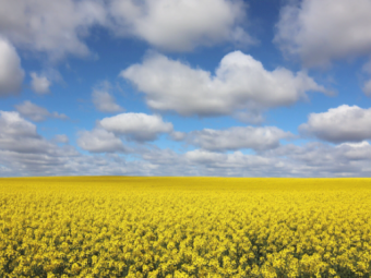 Granulock Z ex Geelong - Available now!