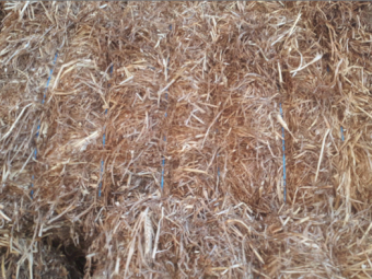 300MT Vetch Hay 8X4X3 Large Square Bales