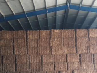 300MT Vetch Hay 8X4X3 Large Square Bales