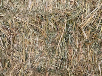100mt Oaten Hay 8x4x3 Bales