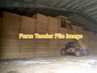 4000 mt Barley Straw