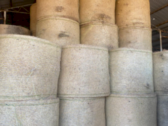 30 x Lucerne Hay 580-600kg 5x4 Round Bales