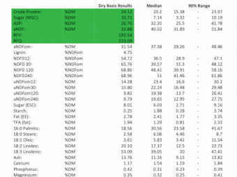 160mt Vetch Hay 700kg 8x4x3 Bales