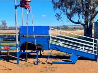 Harrington Double Sided Sheep Handler with Sunbeam Plant.