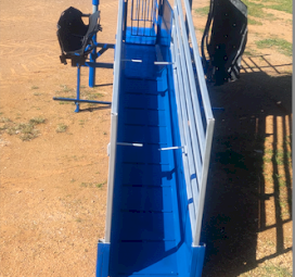 Harrington Double Sided Sheep Handler with Sunbeam Plant.