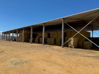 200mt Lucerne Hay 580-610kg 8x4x3 Bales