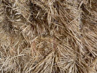 60mt Wheaten Straw 8x4x3 Bales