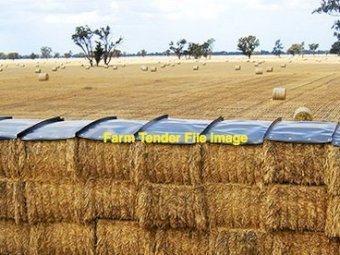 Wheat Straw 23 season