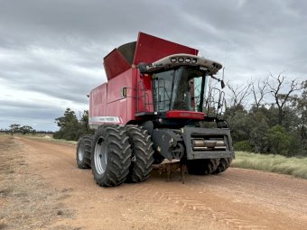 2012 Massey Ferguson 9540 Header Rear Wheel Assist  with Midwest 41 ft Front with comb Trailer