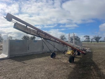 White Shifter & Orange Auger