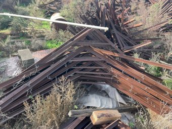 Table Grapes Trellis