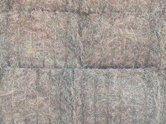 180mt Vetch Hay 515kg 8x4x3 Bales