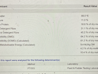 180mt Vetch Hay 515kg 8x4x3 Bales