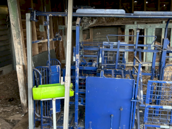 2021 Draffen Sheep Handler