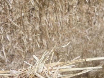 Oaten Straw 450-500kg 8x4x3 Bales