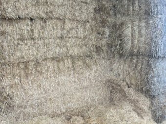 Oaten Straw 450-500kg 8x4x3 Bales