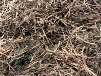 1000mt Vetch Hay 600kg 8x4x3 Bales