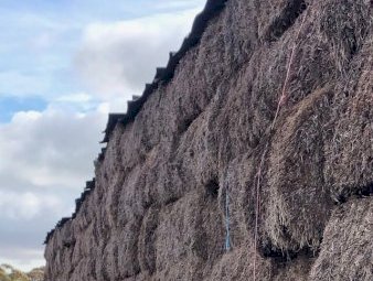 1000mt Vetch Hay 600kg 8x4x3 Bales