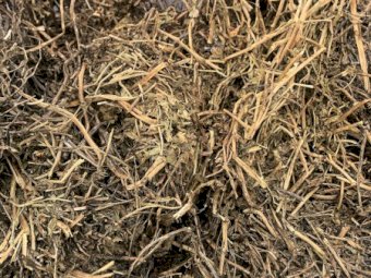 1500mt Vetch Hay 600kg 8x4x3 Bales