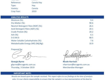 1000mt Canola Hay 600kg 8x4x3 Bales