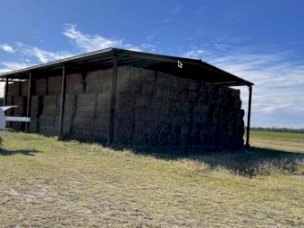 300 mt  SSS Sorghum Cowpea Blend 8x4x3 Bales