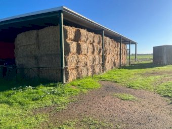 50MT Ryegrass Hay 8X4X3 Large Square Bales