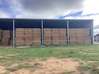 120 mt Vetch Hay 23/24 Season Shedded
