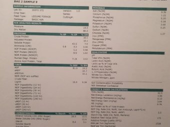 120 mt Vetch Hay 23/24 Season Shedded