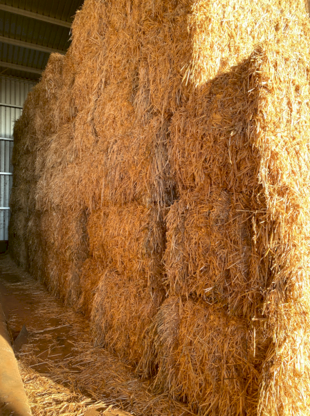 86mt Oaten Hay 730kg 8x4x3 Bales | Farm Tender