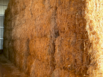 86mt Oaten Hay 730kg 8x4x3 Bales