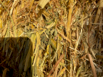 86mt Oaten Hay 730kg 8x4x3 Bales