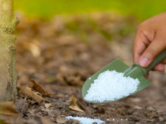 Urea ex Leeton - **Available now**