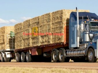 Barley Straw for Delivery Upper Murray Region