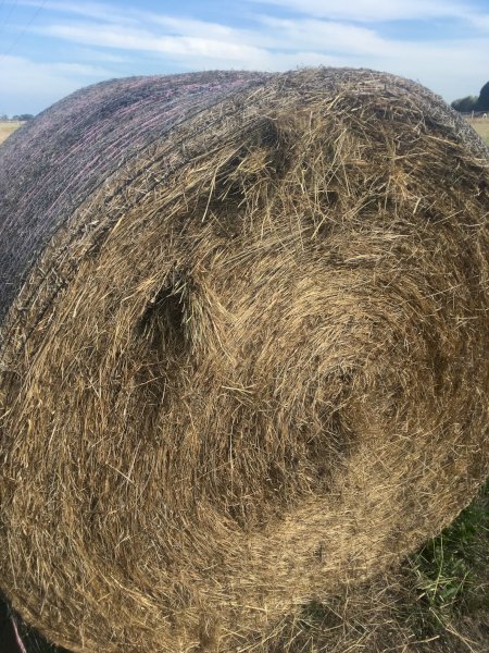 60 Pasture Hay Rolls
