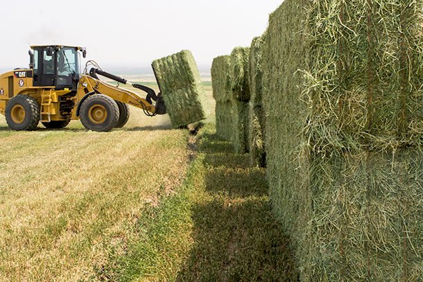 WANTED Organic Hay