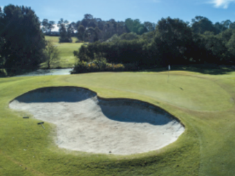 Magprill Granulanted Dolomite