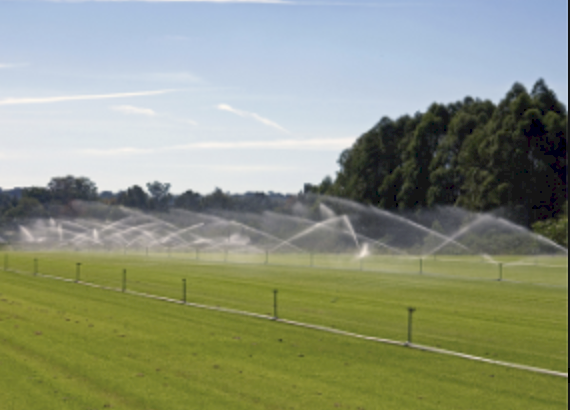 Sulfoprill Gypsum with 14% Sulphur