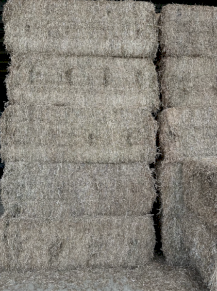 350 m/t 23 Season Shedded Vetch Hay