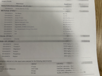 350 m/t 23 Season Shedded Vetch Hay