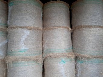 Phalaris Hay in Round Bales