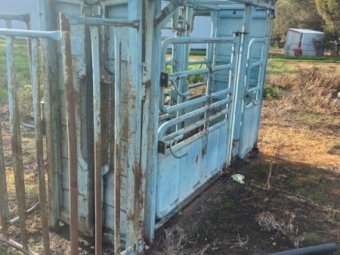 Warwick Cattle Crush