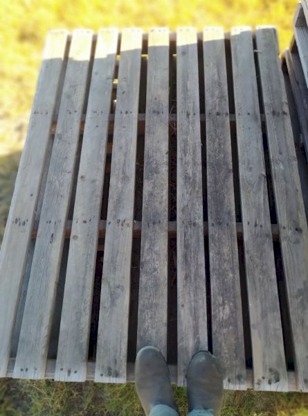 Re-usable wooden pallets, 1800 mm x 1200 mm & 1200 mm x 1200 mm approx