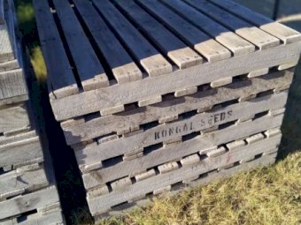 Re-usable wooden pallets, 1800 mm x 1200 mm & 1200 mm x 1200 mm approx