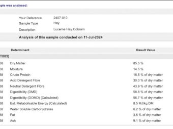 165 mt 3rd and 4th Cut Lucerne Hay Shedded