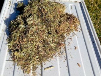 200mt Vetch-Ryegrass Mix Hay