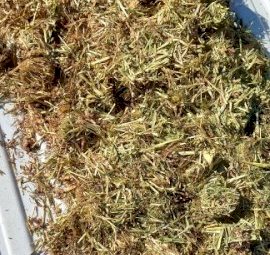 200mt Vetch-Ryegrass Mix Hay